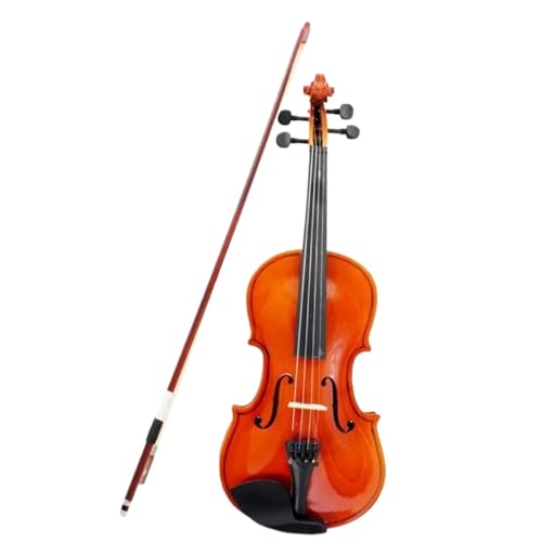 �o�C�I���� �y�� �t���T�C�Y �o�C�I�����ؐ��A�R�[�X�e�B�b�N �t�B�h�����S�Ҋy��A�N�Z�T���[ (Color : 1/8)