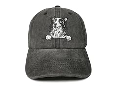 Border Collie (Washed Black)