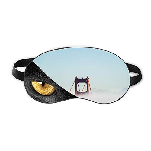 ̃S[fQ[gubW̒݋̉_ xݖڂ̎Ռe