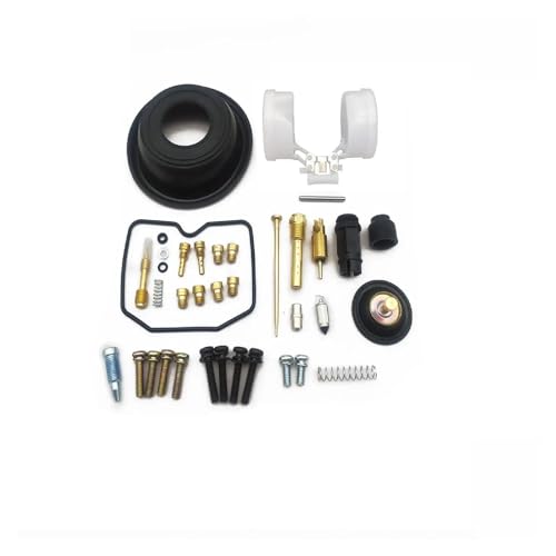 Kit réparation carburateur KLR650 réglage fuite essence et piston