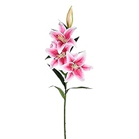 Amazon.com: Vickerman 36'' Artificial White Real Touch Lily