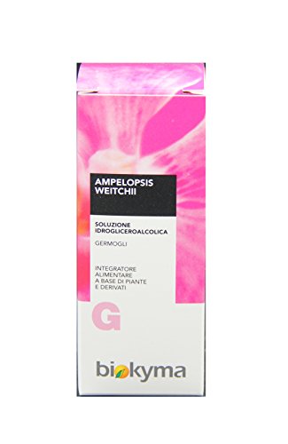 AMPELOPSIS WEITCHII germogli (Vite vergine) - 50ml...