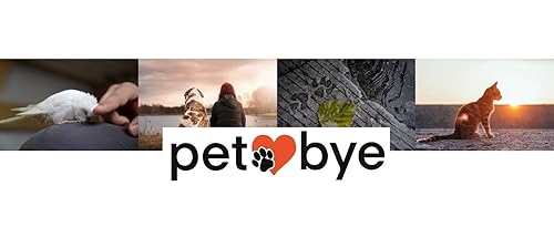 petbye Holz Kleintiersarg mit Satin Innenverkleidung - Größe L für kleine Haustiere - Tiersarg mit festem Metallverschluss - Sarg Natur aus hochwertigem Holz