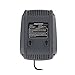 PowerSmart 40V Lithium-Ion Battery Charger (DB2202A)