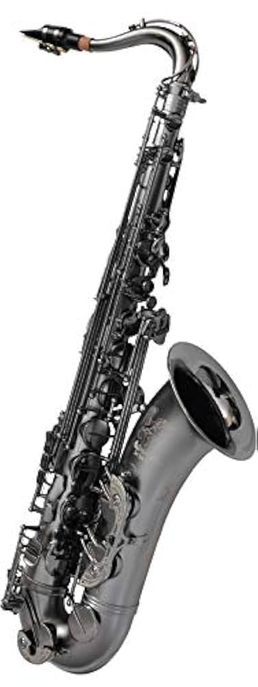 テナーサックス Cannonball T5-Bice B 「RAVEN」 Cannonball 【お取り寄せ品】テナーサックス キャノンボール T5