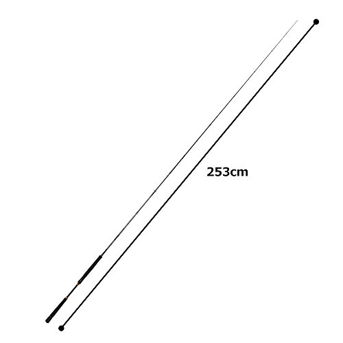 タチウオワインド入門 おすすめロッド10選 徹底比較