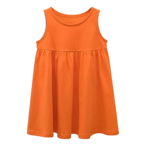 [Shopyruder] s[X LbY  K[Y m[X[u q ̎q ؍  hX \ JWA n  ʉ ʊw i L~s[X WjA ۋ 킢 aC  v[g Vv 