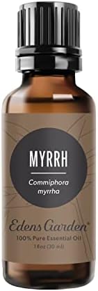 Plantlife Spearmint Essential Oil - 100% Pure & Therapeutic Grade Natural Undiluted Steam Distilled No Additives Or Fillers 10ml Aromatherapy