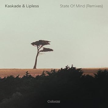 洋楽 Kaskade / In The Moment,2LP, OM157VLP Kaskade – In The