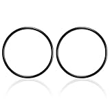 R0694100 Zodiac Jandy Proシリーズ用塩素発生器Oリング TruClear R0693900(2個)