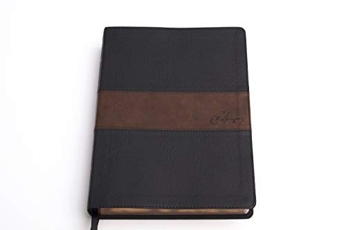 Image of RVR 1960 Biblia de estudio Spurgeon, negro /marron simil piel (Spanish Edition)