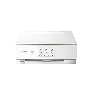 Canon PIXMA TS8350 Kleureninkjet-multifunctioneel apparaat (afdrukken, scannen, kopiëren, 10.9cm touchdisplay, WLAN…