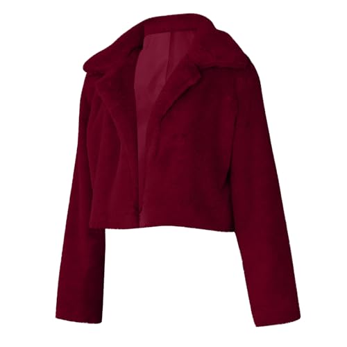 Outfits for Women Fall Winter Long Sleeve Turtle Neck Hula Warm Fuzzy Plain Jacket Outfit Women 2025 Fashion Y2K4