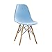 XINGING Ins Net Red Chair Nordic Denmark Silla de Comedor Ims Simple para Hablar de Creative Office Computer Coffee Tea Chair (Color : Azul)