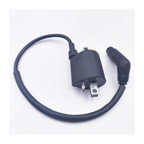 Bobina de encendido LU019139 para Stels 300B y Feishen FA 300CC