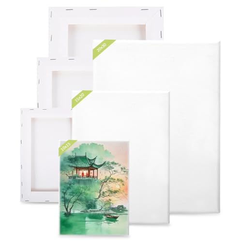 Set de 6 Lienzos para Pintar, 30 x 20, 20 x 15, 15 x 10 cm Canvas para Pintar, Bastidor para Lienzo Blanco, Lienzos para Pintura Fácil de Colorear, Canvas para Acrílico, Óleo, Mixto (3 Tamaños)