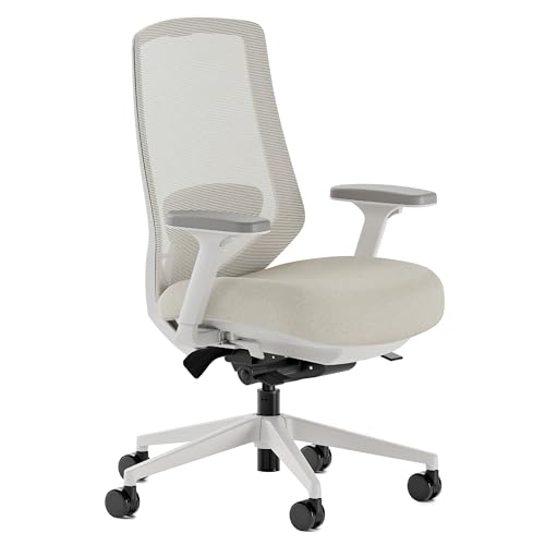 Branch Ergonomic Chair Pro