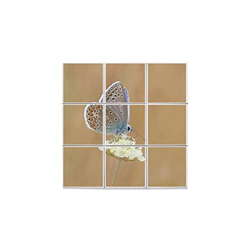 Carreaux céramique décoratifs papillon brun bleu azuré fleurs 9 carreaux 32,4x32,4cm