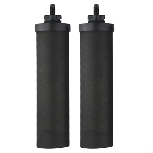 Paquete de 2 filtros de agua de carbón activado para agua potable rentable y segura