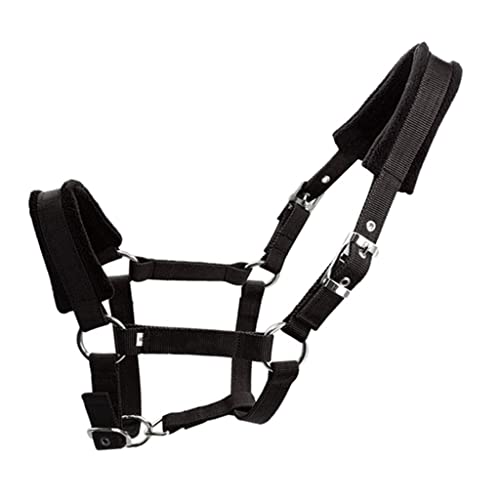 Lljsszr RunpnZbg, ubNM