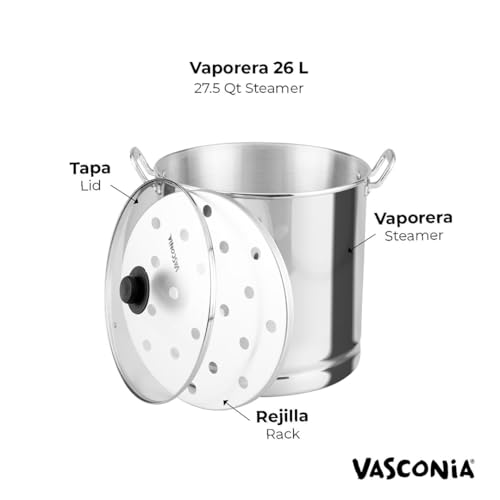Opiniones de Vaporeras los 5 mejores. 8 Vaporeras marca Vasconia (2)