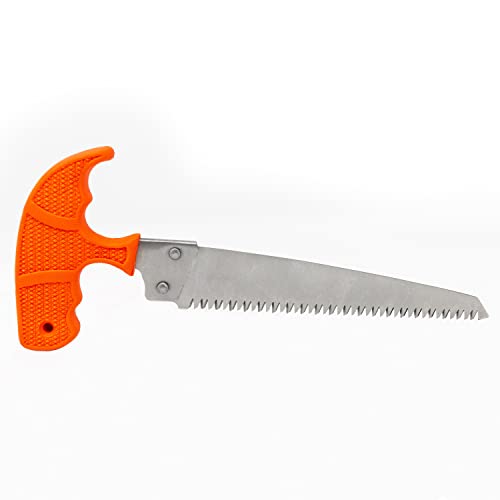 AccuSharp 6