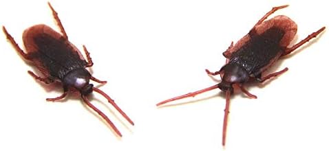 Time Roaming Fake Roach Pranks Plastic Cockroaches Gag Gifts, Pack of 24