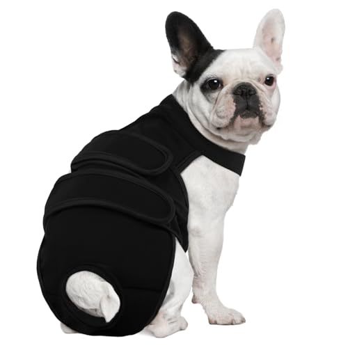 Image of Lelepet Female Dog Diapers with Suspenders, Washable & Reusable Black S | Adjustable and absorbent dog diapers for heat cycles, incontinence, and senior dogs. Comfortable all-day fit. Pet panties
