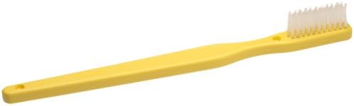 Oversized Demonstration Toothbrush
