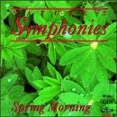 Nature's Symphonies Spring Morning