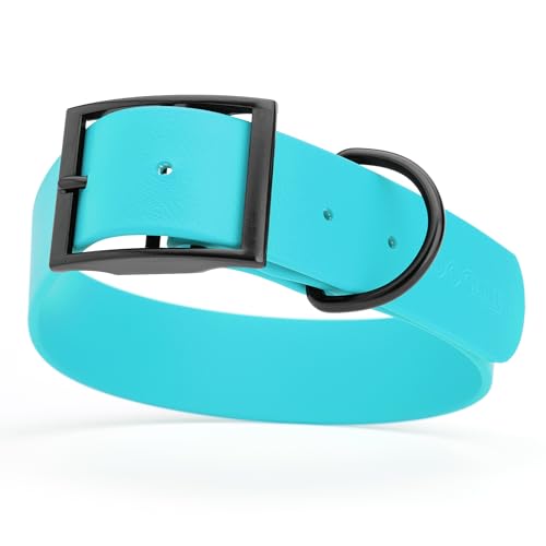 Image of Dogline Biothane Waterproof Dog Collar Strong Coated Nylon Webbing with Black Hardware Odor- Proof for Easy Care Easy to Clean High Performance Fits Small Medium or Large Dogs, Sky Blue