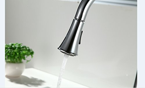 RunFine RFF0001 Decorative Kitchen Sink Faucet