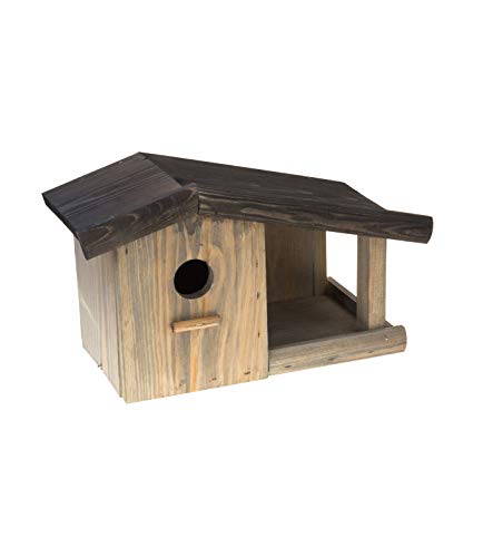 MAZUR International 4 x Nistkasten Natur für Blaumeisen & kleine Meisenarten aus Holz -wetterfest, Vogelhaus für Meisen… – Bild 3