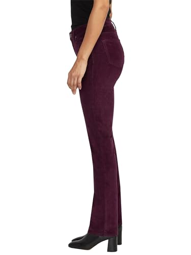 Jag Jeans Women's Ruby Mid Rise Straight Leg Pants2