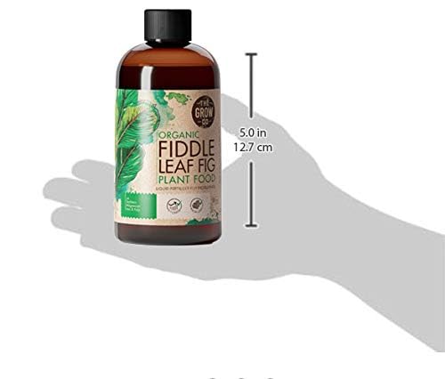 Miniatura 2 de Alimento orgánico para plantas de higuera de hoja de violín  fertilizante líquido para higos en maceta  fórmula rica en nutrientes para cultivar