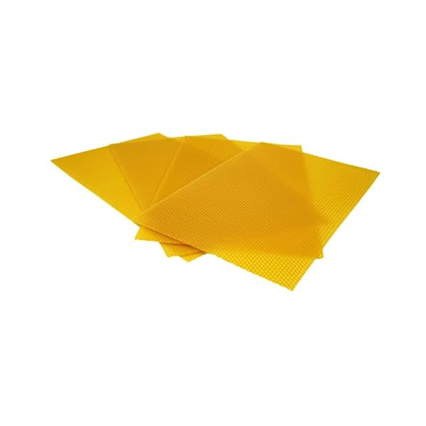 100% reines Bienenwachs, 1 kg | 10 x Dadant Mittelwände, Bienenwachsplatten | Zertifiziert | Seuchenfrei, unverfälscht…