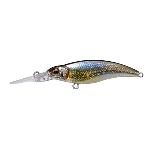 Amazon.co.jp: Megabass(メガバス): シャッド
