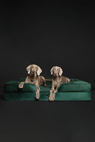 Image of NOAH & PAW Giant Dog Bed XXL, 55x45x11 Inch, Orthopedic Dog Beds, Eggshell Memory Foam Infused with Cooling Gel, Inner Cover, Water Resistant, Machine Washable (Velvet Sofa Collection)