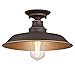 Price comparison product image Westinghouse Lighting 63703 Iron Hill 30 cm, One-Light Indoor Semi-Flush Mount Ceiling Fixture, Oil Rubbed Bronze Finish with Highlights