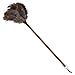Hemoton Hand Duster 1pc Bird Duster Ostrich Desktop Dust Removal Tool Cleaning Brush Tool