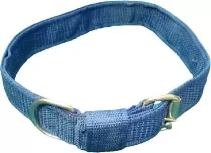 Kapoor Pets Blue Nylon 1.5 inch Dog Collar Belt Specially for Big Dogs Neck Size 48cm to 64cm Lengthy Dog Collar (B0B1X2DNPF) Amazon Price History, Amazon Price Tracker