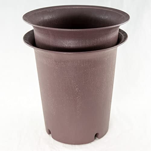 Yubonzai 2 Round Cascade Plastic Tan Color Bonsai Training Pot, Succulent & Orchid Planter - 6.5'x...