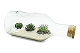 🎍​ TERRARIO de cristal con plantas artificiales ideal de centro de mesa decorativo.
