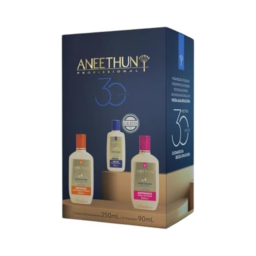 Kit Aneethun Creme de Silicone Proteção e Antidanos 250ml, 1 Creme de Silicone Brilho 90ml Edição Limitada