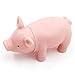 PiniceCore Cane Gatto Giocattolo Masticare Maiale Squeaker Squeaky con Suono di Gomma 'Animale Domestico del Cucciolo del Cane Giocare Pig Toys (Stile Casuale)