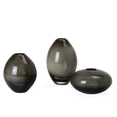 Torre & Tagus Mini Lustre Bud Vase Set for Home Office Tabletop Centerpiece, Assorted, Black