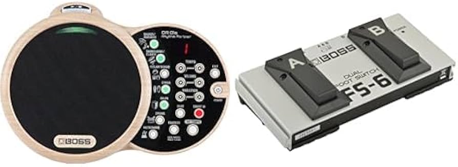 BOSS DR-01s リズムパートナー Amazon.com: Boss DR-01S Rhythm Partner Bundle with BOSS FS-6 Dual