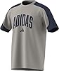 adidas Men's Collegiate T-Shirt, Wonder Alumina/Dark Blue, 3XL #4