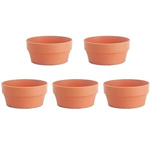 HEMOTON 5 Stks Imitatie Terracotta Bloempotten Bloem Planter Met Drainage Gat Flower Basin Container Voor DIY Home en…