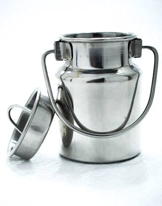 Global-E Stainless Steel Milk Can, 500 ml, Silver